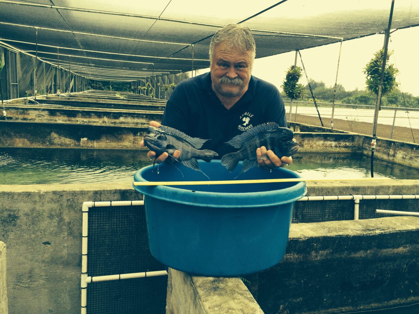 A man with a blue basin full of koi